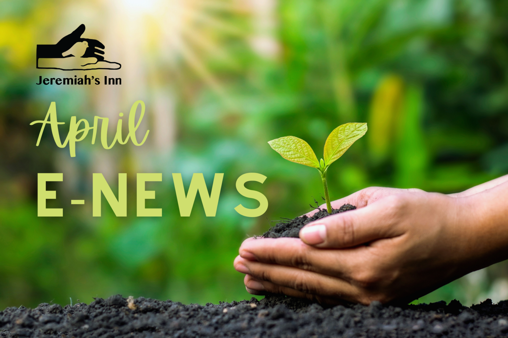 Jeremiah's Inn - 2020